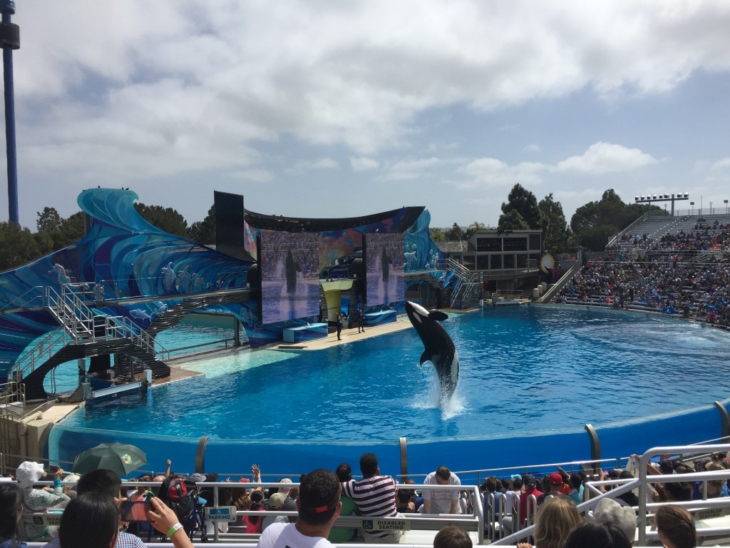 Sea World Orca Show