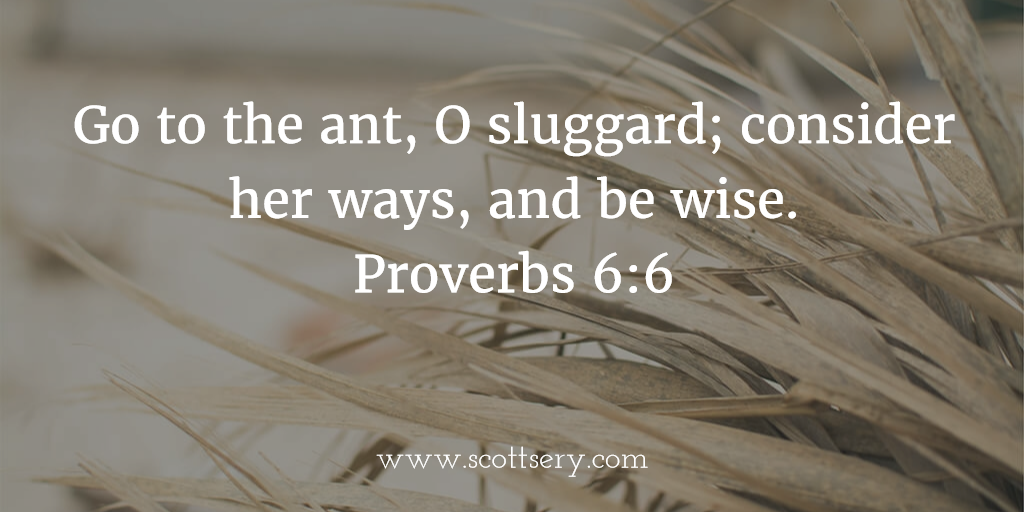 ghostwriter and copywriter