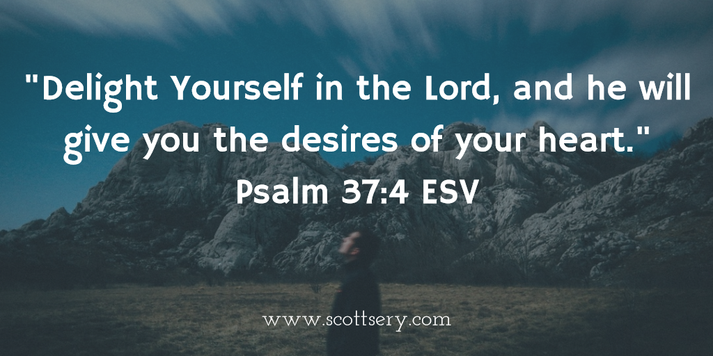 be wildly successful by delighting in the Lord