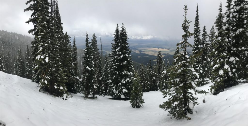Prairie View from atop the Big Snowy Mountains